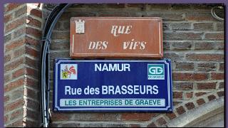 namur290810066