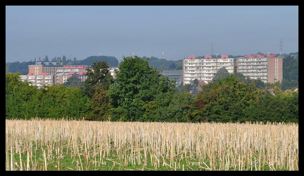 namur070811048