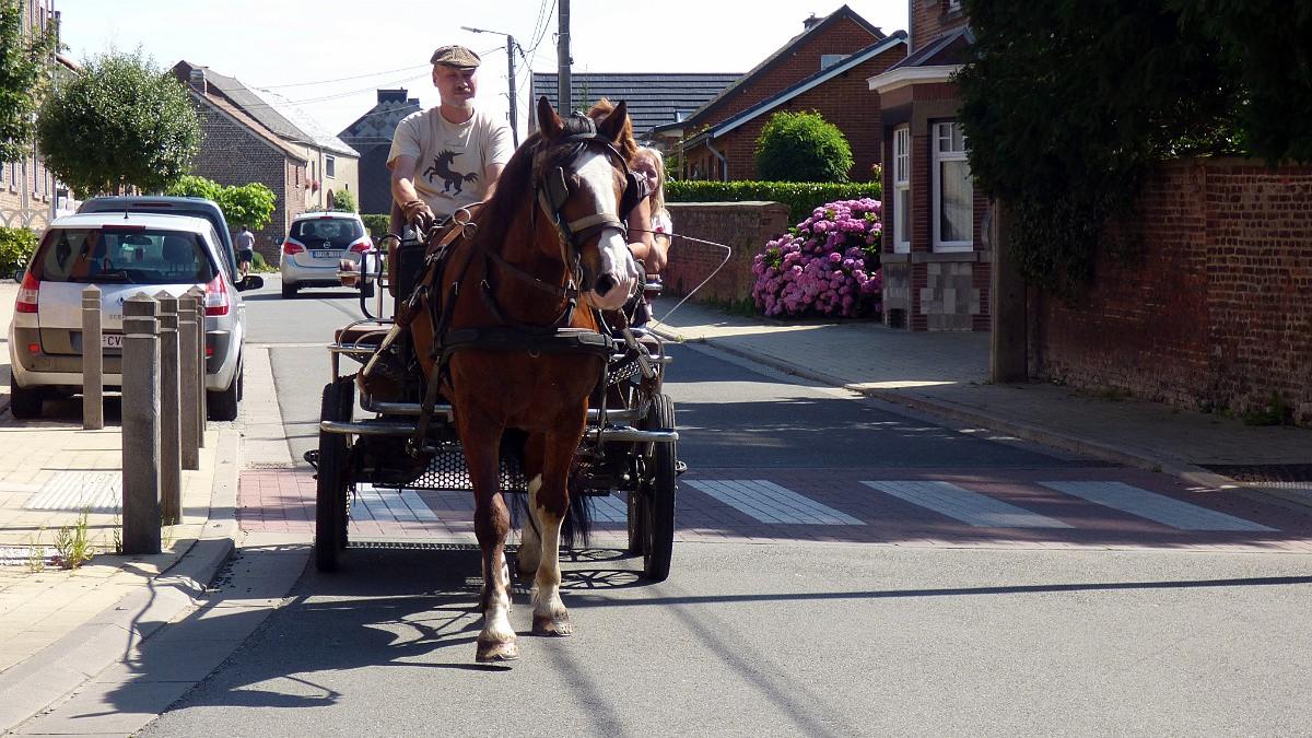 namur090815009