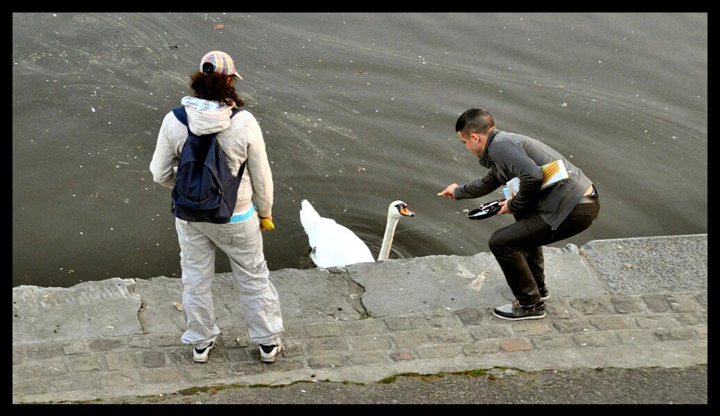 namur100411127