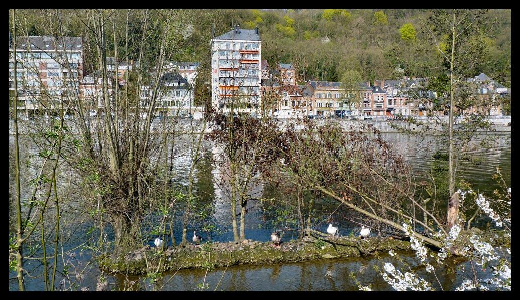 namur100411249