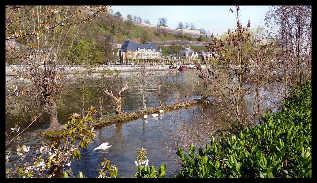 namur100411250