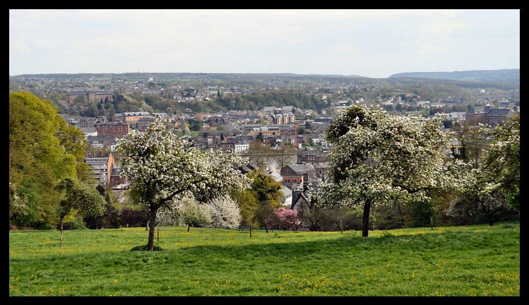 namur170411066