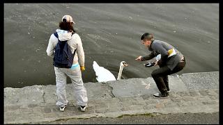 namur100411127