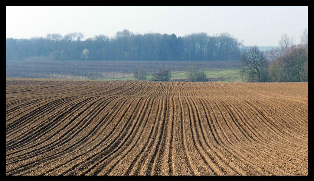 namur0104120078