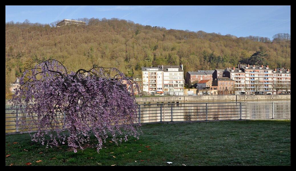 namur0804120021