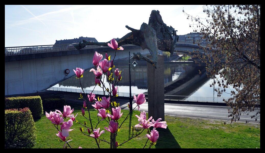 namur0804120053