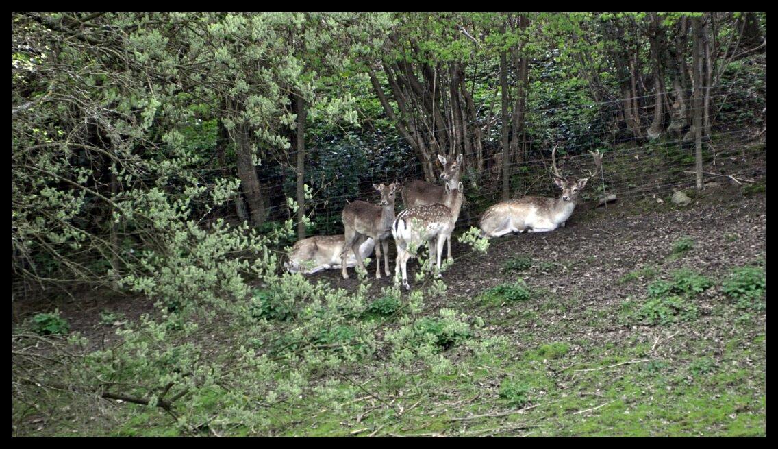 namur2204120078