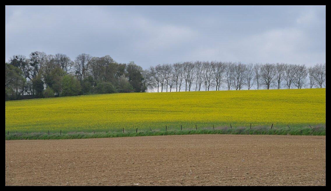 namur2204120089