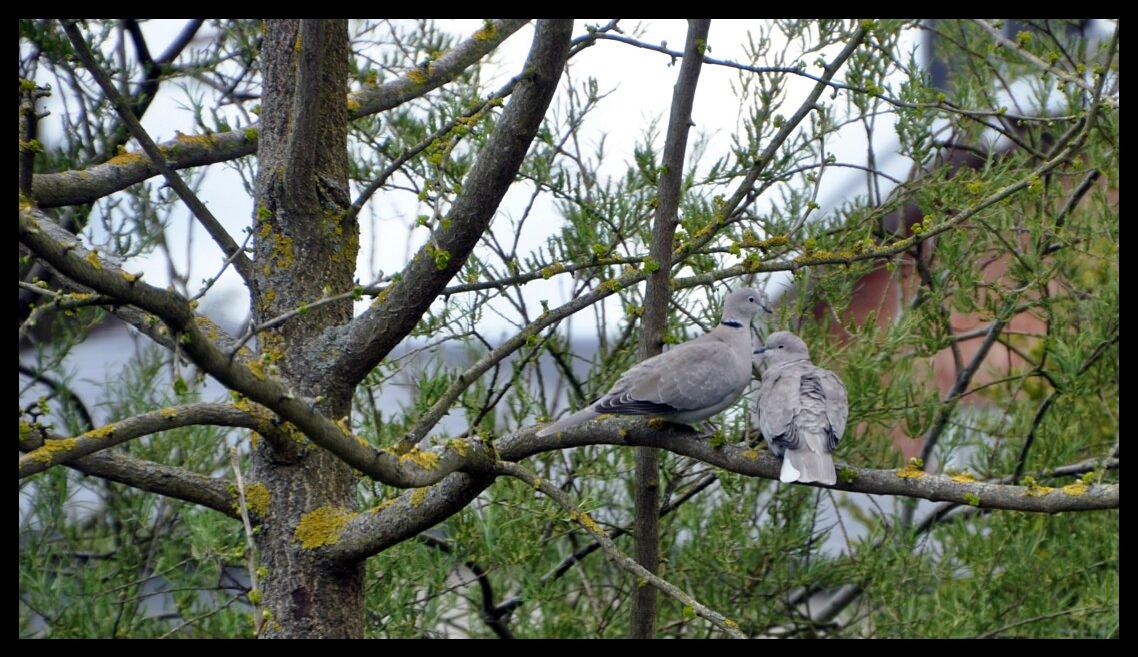 namur2904120069