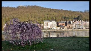 namur0804120021