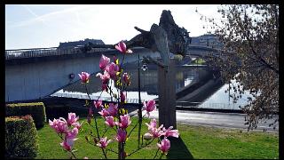 namur0804120053