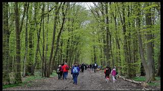 namur2204120070