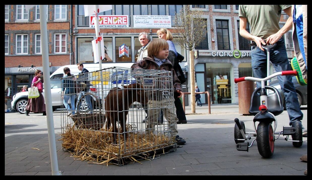 namur2004130061