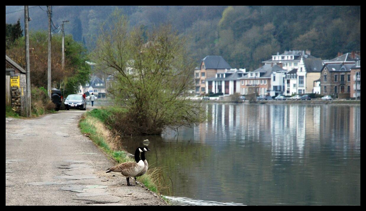 namur2804130013