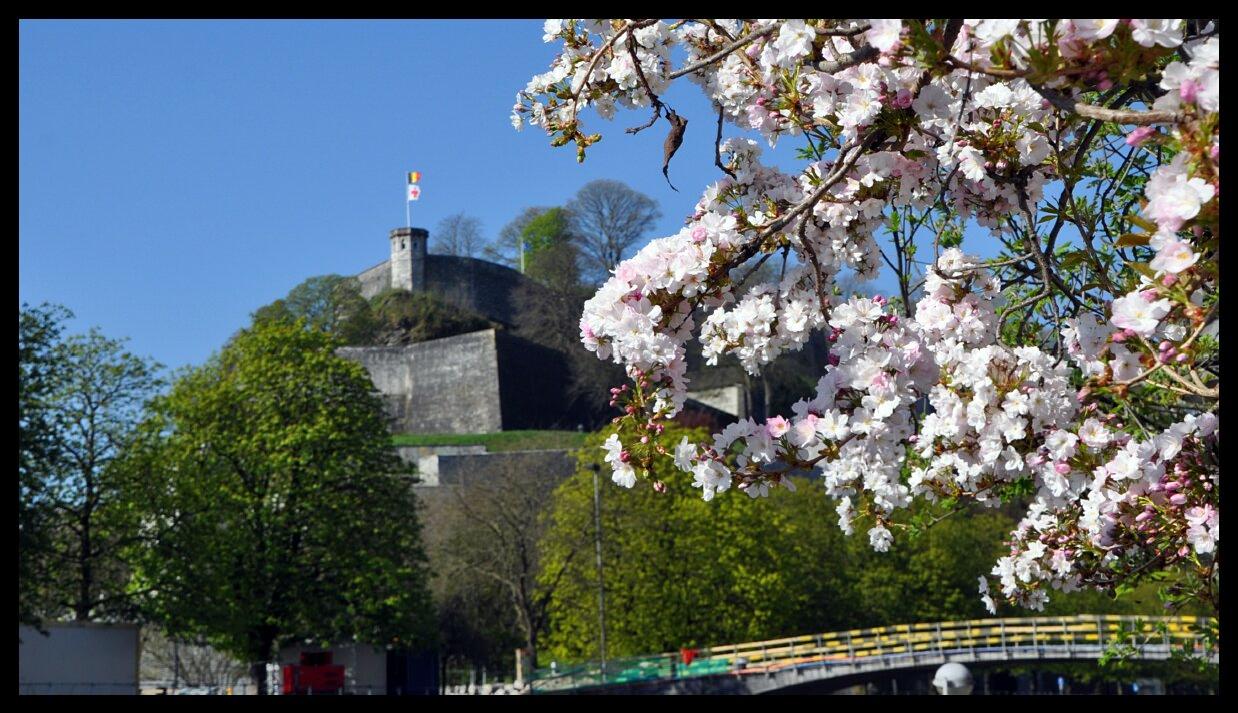 namur2804130042