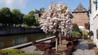 namur010516014