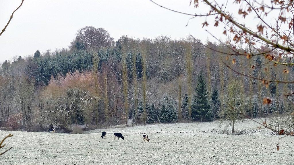 namur101217093