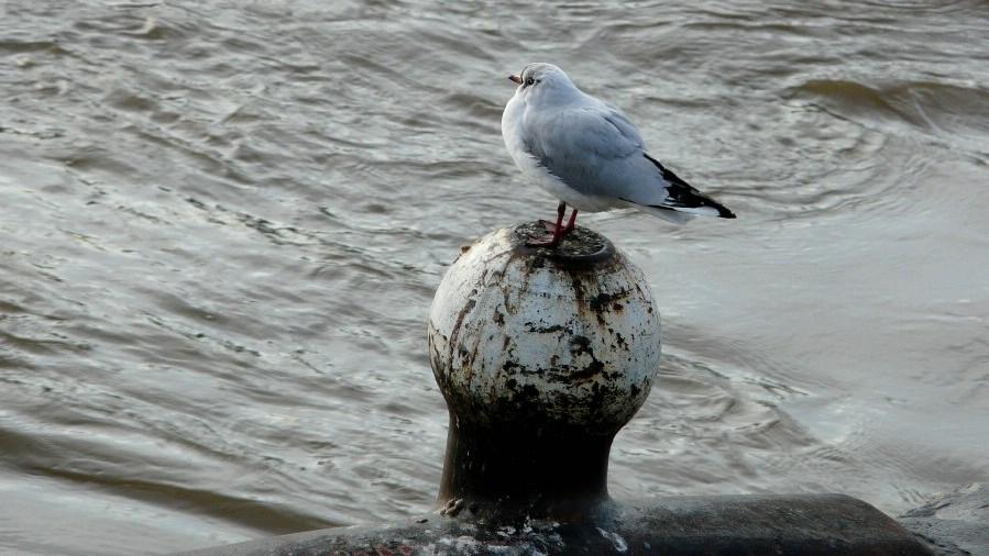 namur010209062