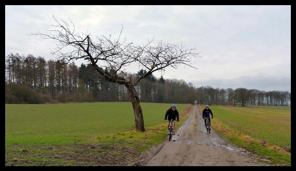 namur200211120