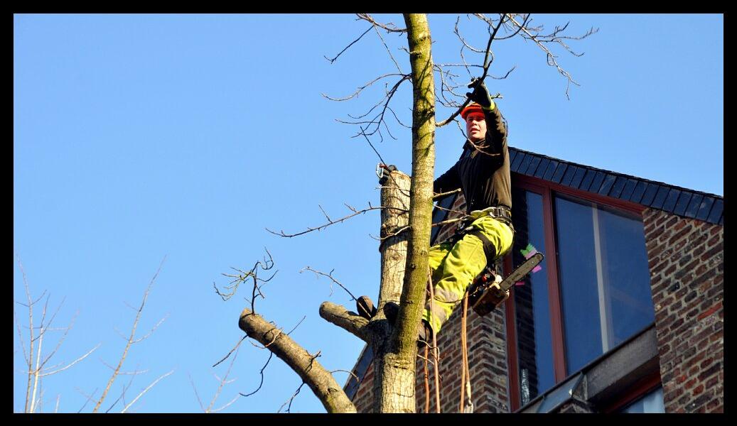 namur 1202120089