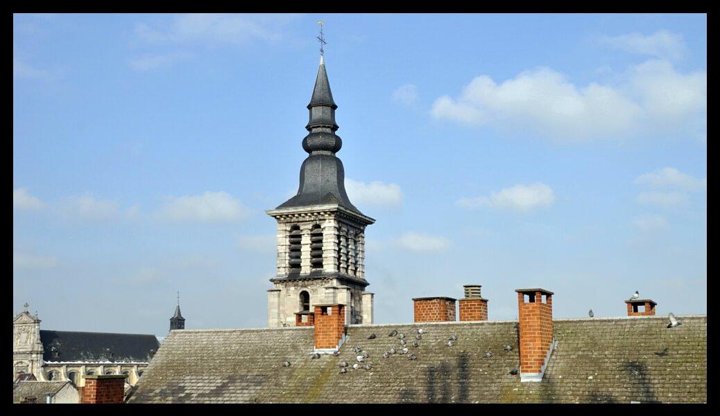 namur 1202120107