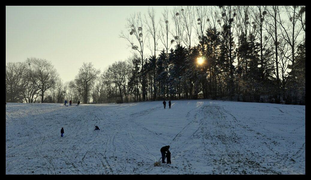 namur0502120076