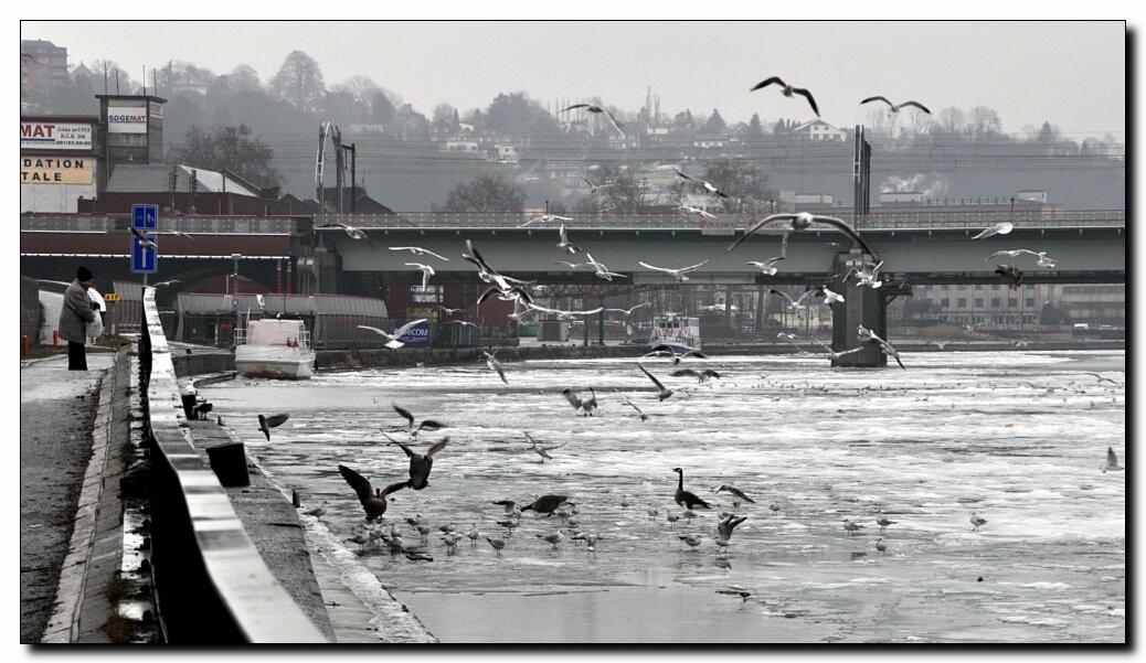 namur1902120014