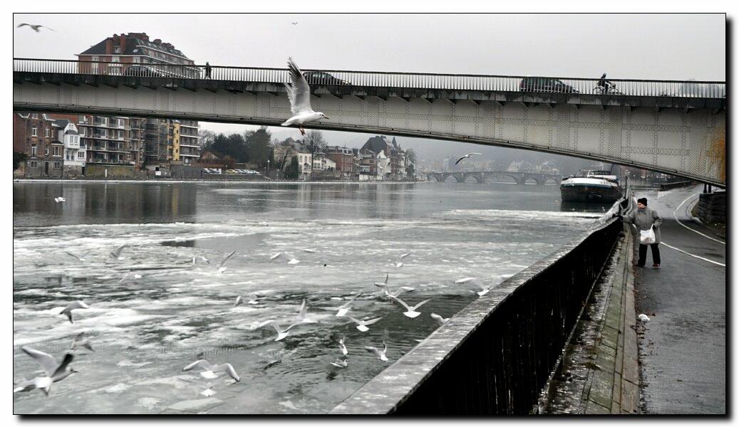 namur1902120015