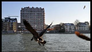 namur 1202120001