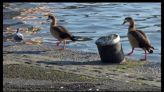 namur0502120143