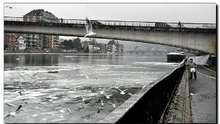 namur1902120015