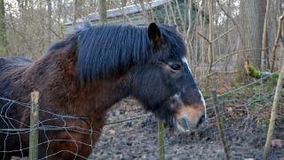 namur2302140112