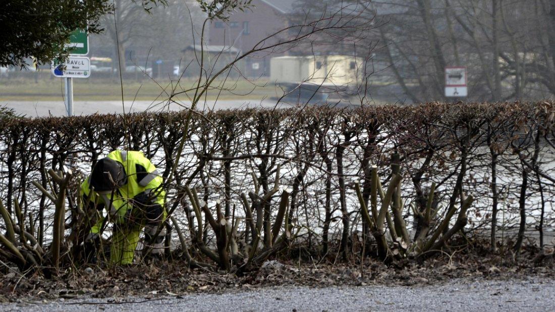 namur0802150090