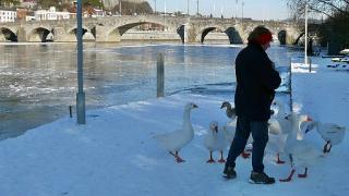 namur180109050