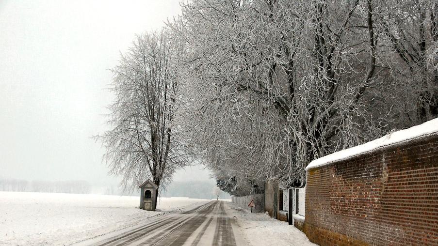 namur100110018