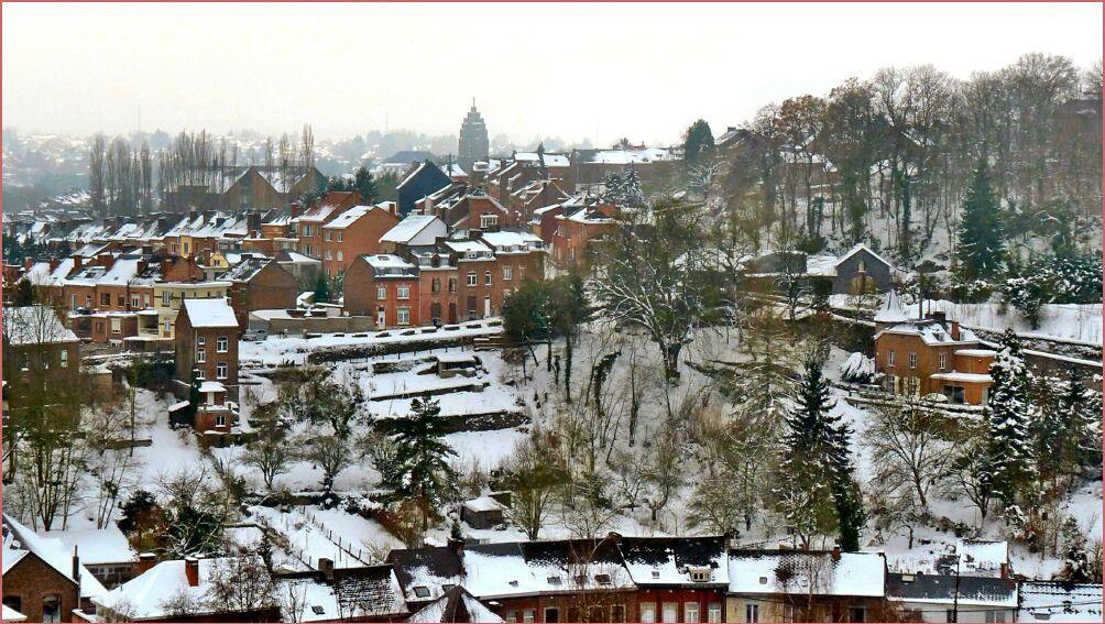 namur020111031