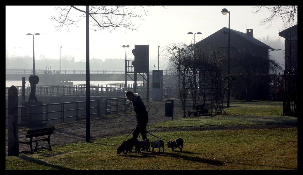 namur2201120008