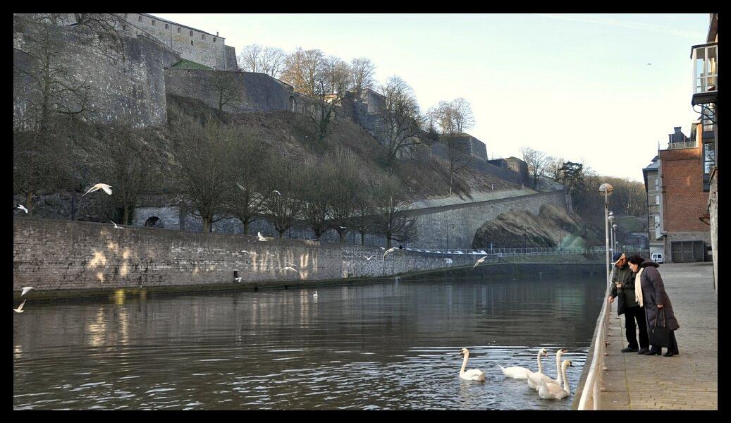 namur2201120038