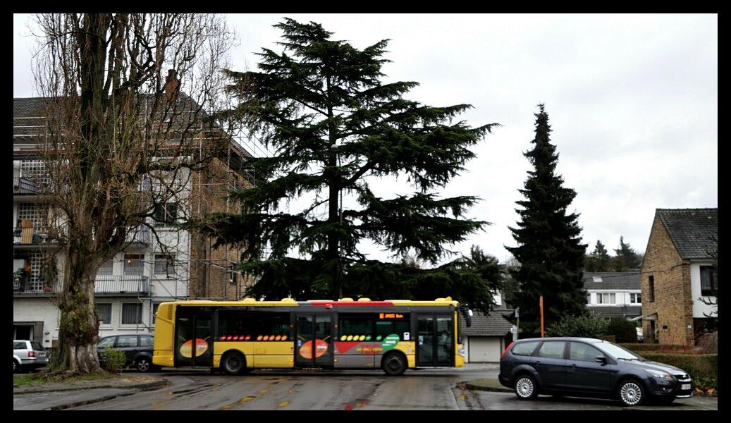 namur2201120107