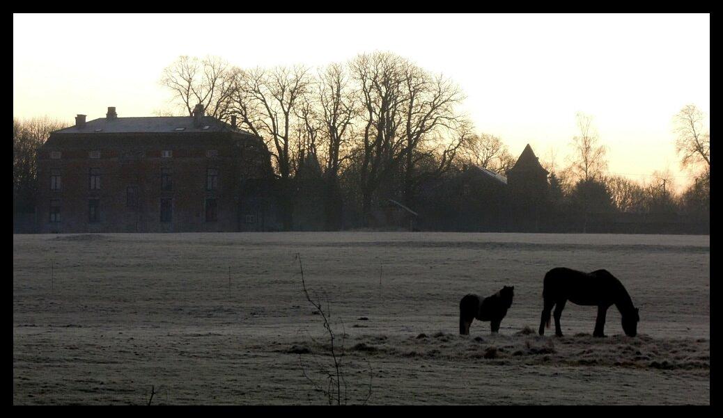 namur2201120112