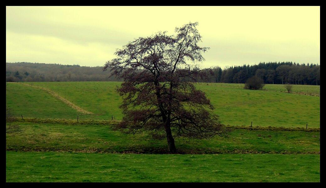 namur2901120104