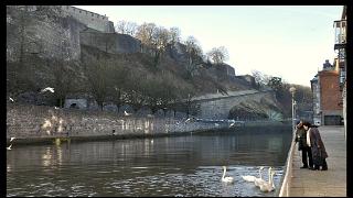 namur2201120038