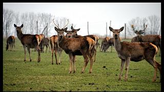 namur2201120076