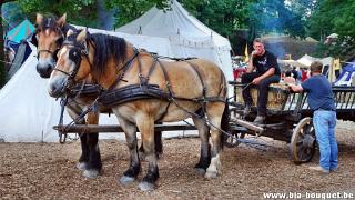 namur050709077