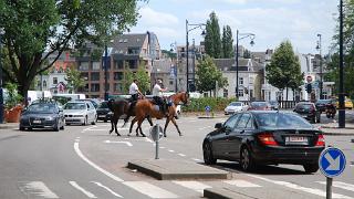 namur190709051