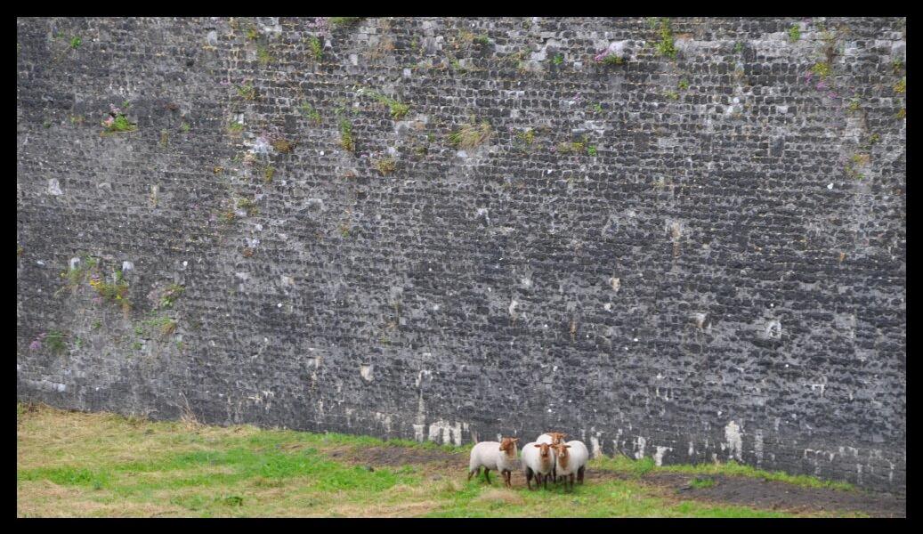 namur1507120116