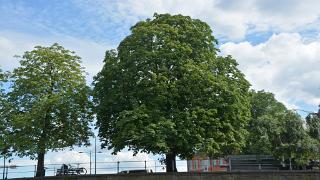 namur1307140051