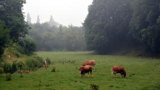 namur1307140100