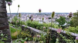 namur190715014